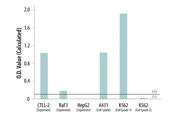[R&D Systems] MycoProbe Mycoplasma Detection Kit 이미지