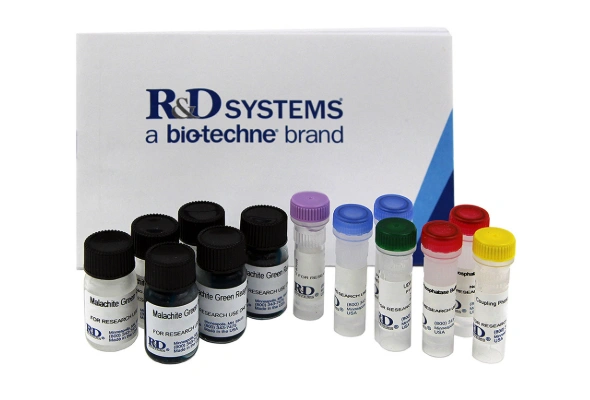 [R&D Systems] Glycobiology Kits 이미지