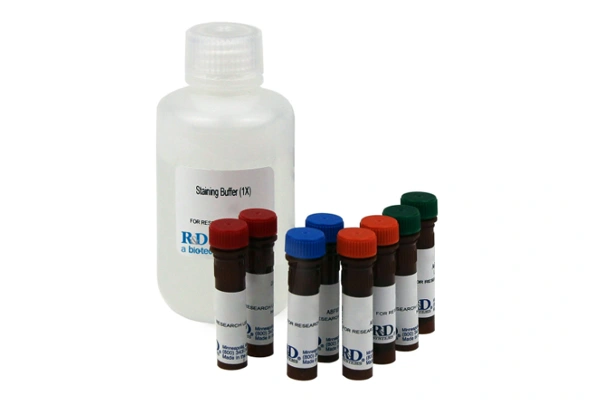 [R&D Systems] Multi-color Flow Cytometry Kit 이미지
