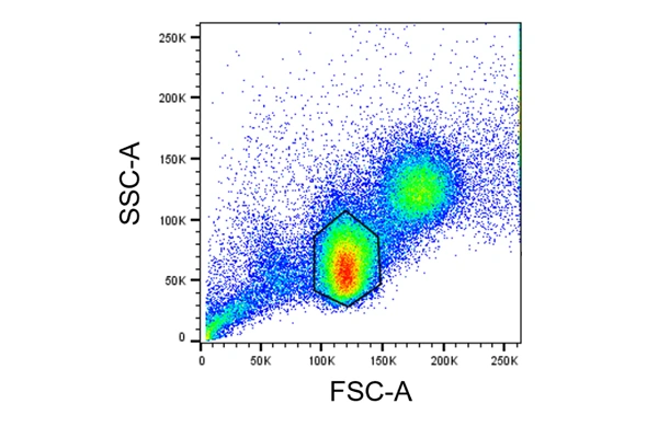 [R&D Systems] Flow Cytometry Panel 이미지