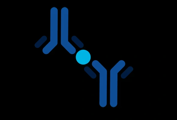 [R&D Systems] Mesenchymal Stem Cell Marker Antibody 이미지