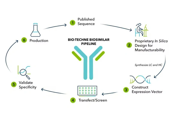 [R&D Systems] Biosimilar Antibodies | 바이오시밀러 항체 이미지