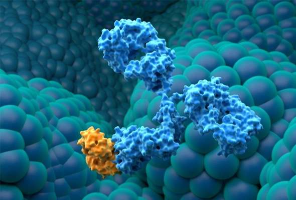Antibody Drug Conjugate (ADC) 개발 워크플로우 이미지