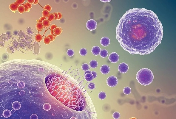 [Novus] Exosome Standards 이미지