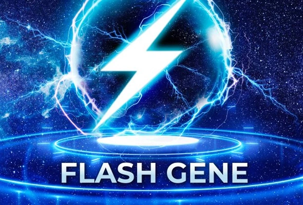FLASH Gene 제작서비스 이미지
