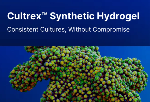 [R&D Systems] Cultrex Synthetic Hydrogel Kit | 합성 하이드로겔 이미지