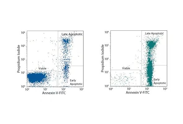 TACS Annexin V-FITC Apoptosis Detection Kit 이미지