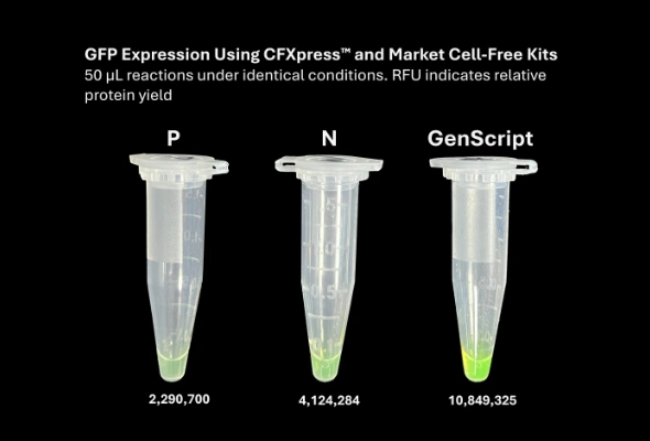 Cell-Free Expression Kit | 무세포 단백질 합성 키트 이미지