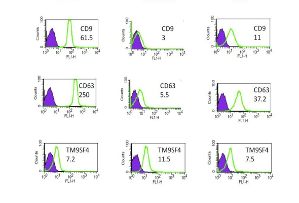 [Novus] EV-FACS Flow Cytometry Kit 이미지