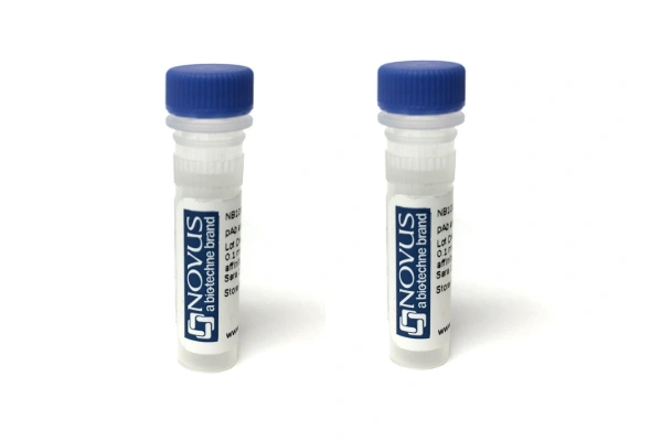 [Novus] Antibody Pair 이미지