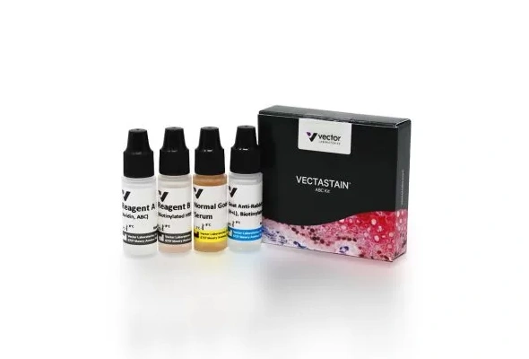 [Novus] VECTASTAIN ABC Detection Kit 이미지