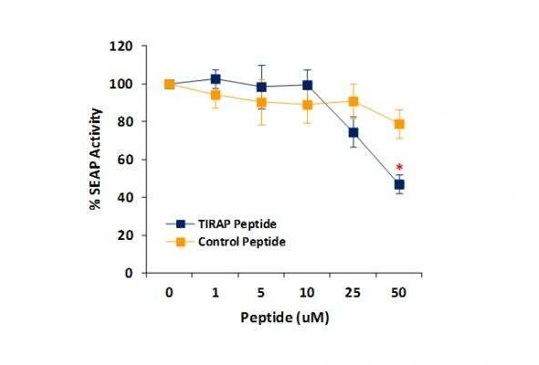 [Novus] Inhibitor Peptide Set 이미지