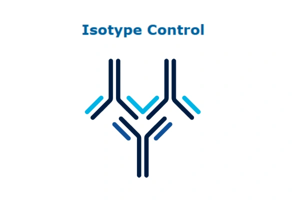 [Novus] Isotype Control Antibody 이미지