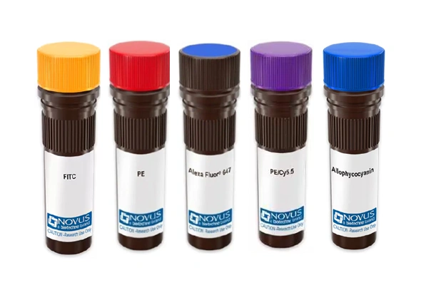 [Novus] Primary Conjugated Antibody 이미지