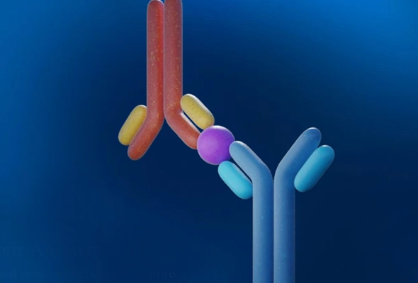 [Novus] Antibody Pack 이미지