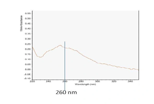 [Novus] Exosome RNA (Pre-Isolated Exosomes) Extraction Kit 이미지