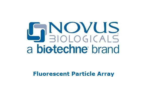 [Novus] 다중 유세포 분석을 위한 Fluorescent Particle Array 이미지