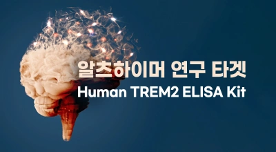 Human TREM2 ELISA Kit 출시기념 15% 이벤트 이미지
