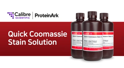 Quick Coomassie 젤 염색 용액 20% 할인 이벤트 이미지