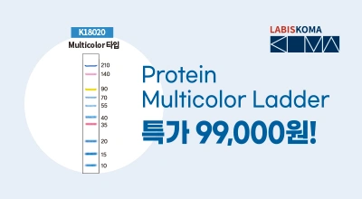 99,000원 특가! Protein Multicolor Ladder 할인 이벤트 이미지