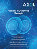 Human iPSC-derived Microglia Brochure 이미지