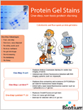 One-Step Protein Gel Stains 이미지