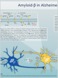 Alzheimer's Disease 이미지