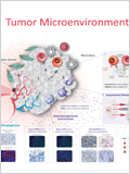 Tumor microenvironment (TME) 이미지