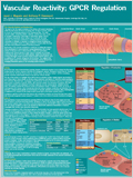 Cardiovascular Poster 이미지