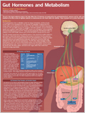 Gut Hormones Poster 이미지