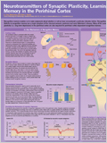 Learning & Memory Poster 이미지