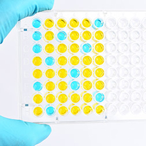 [GENSCRIPT] Tips for Successful ELISA kit Development 이미지