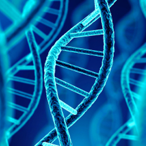 [GENSCRIPT] Metabolic pathway engineering using combinatorial DNA assembly 이미지