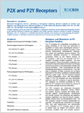 P2X and P2Y Receptors 이미지