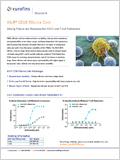 KILR CD16 Effector Cells 이미지