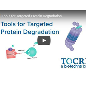 [TOCRIS] Tools for Targeted Protein Degradation 이미지