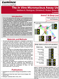 In Vitro Micronucleus Assay Using Imaging Flow Cytometry 이미지