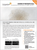 Pancreatic cell differentiation and maintenance 이미지