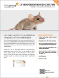 Murine stem cell expansion on Biolaminin 511 이미지