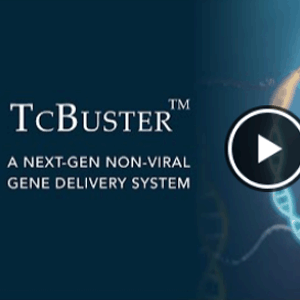 [B-MOGEN] TcBuster, A next-gen non-viral gene delivery system