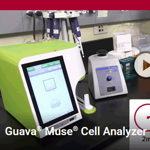 [LUMINEX] How the Muse Cell Analyzer Works 이미지