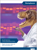 Electrophoresis Brochure 이미지