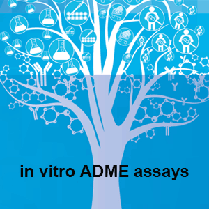 [EUROFINS DISCOVERY] ADME: The Essentials, an overview of key in vitro ADME assays and how they are applied in early drug discovery 이미지