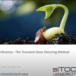 [SITOOL] Webinar RNA interference 이미지