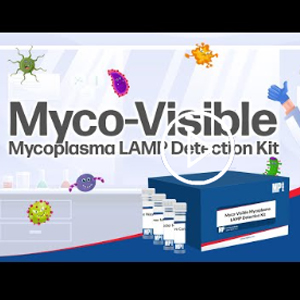 [MPBIO] Myco-Visible Mycoplasma LAMP detection kit 이미지