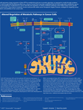 Cancer Metabolism Poster 이미지