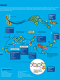 Epigenetics in Cancer Poster 이미지