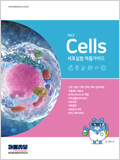 Cells 세포실험 제품가이드 Vol.2 이미지