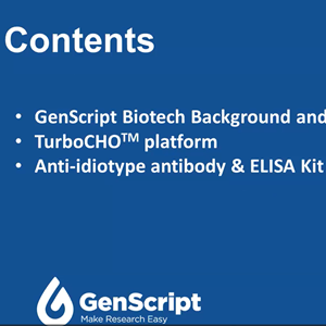 [GenScript] 치료용 항체 개발 촉진 방법 (TurboCHO 항체 생산 / Anti-Idiotype 항체 생산 플랫폼) 이미지