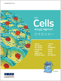 Cells 세포실험 제품가이드 Vol.3 이미지